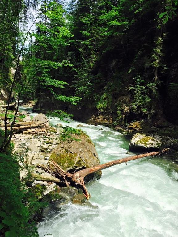 Hotel Garni Regina Oberstdorf Bagian luar foto