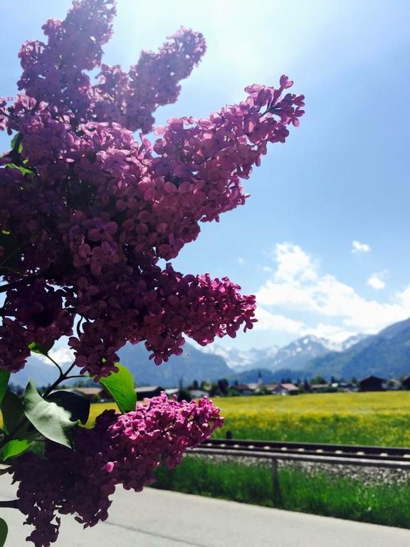 Hotel Garni Regina Oberstdorf Bagian luar foto